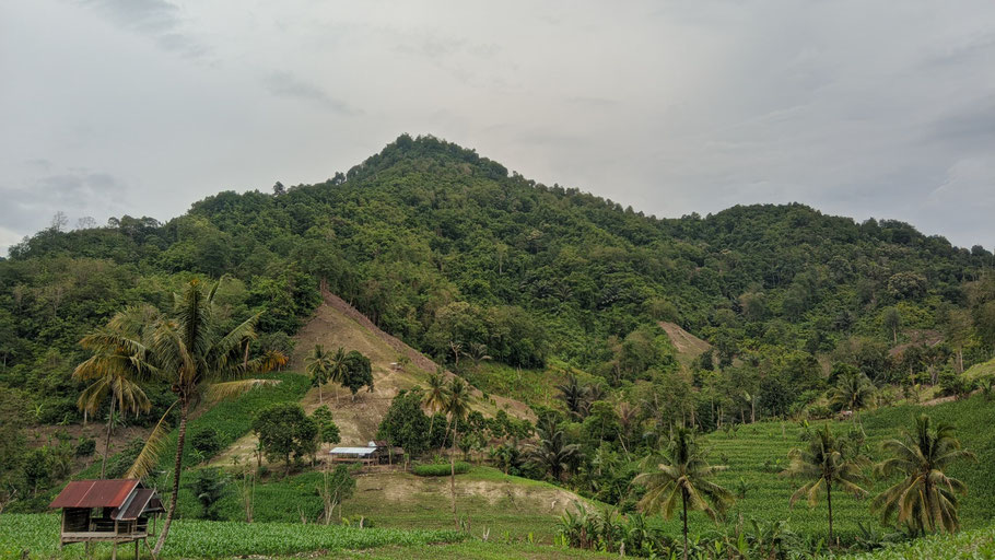 Desa Gattareng Mattinggi